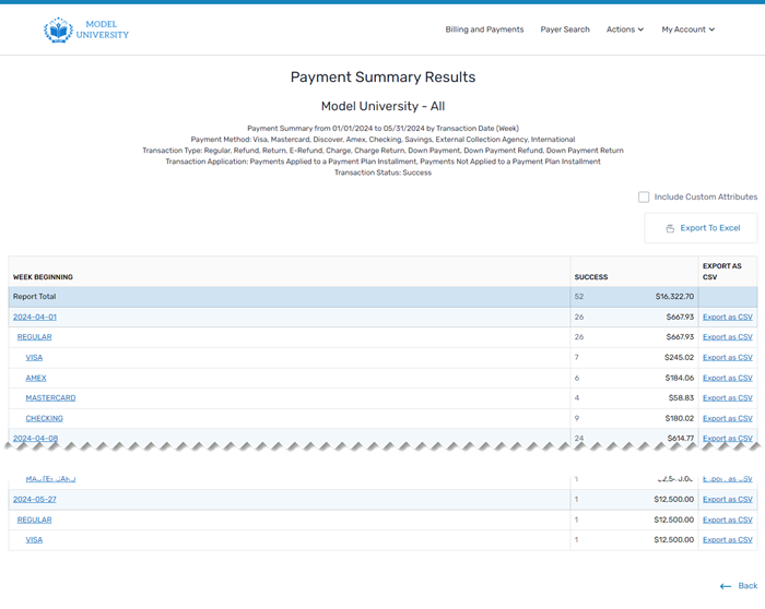 Payment Summary Report
